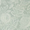 Cantaloupe 216761